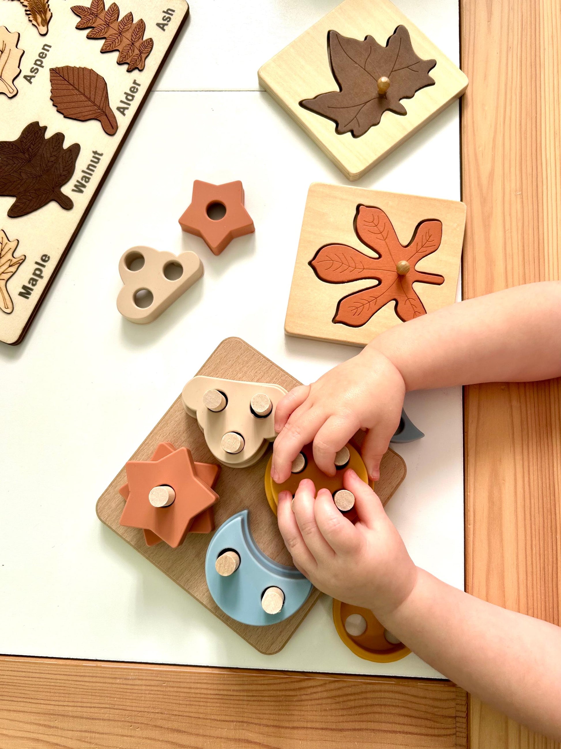 Wooden Leaf Puzzles | Fall Harvest Ressources | Montessori Nature Toy | Educational Toddler Activity | Fine Motor Skills | Preschool Tools