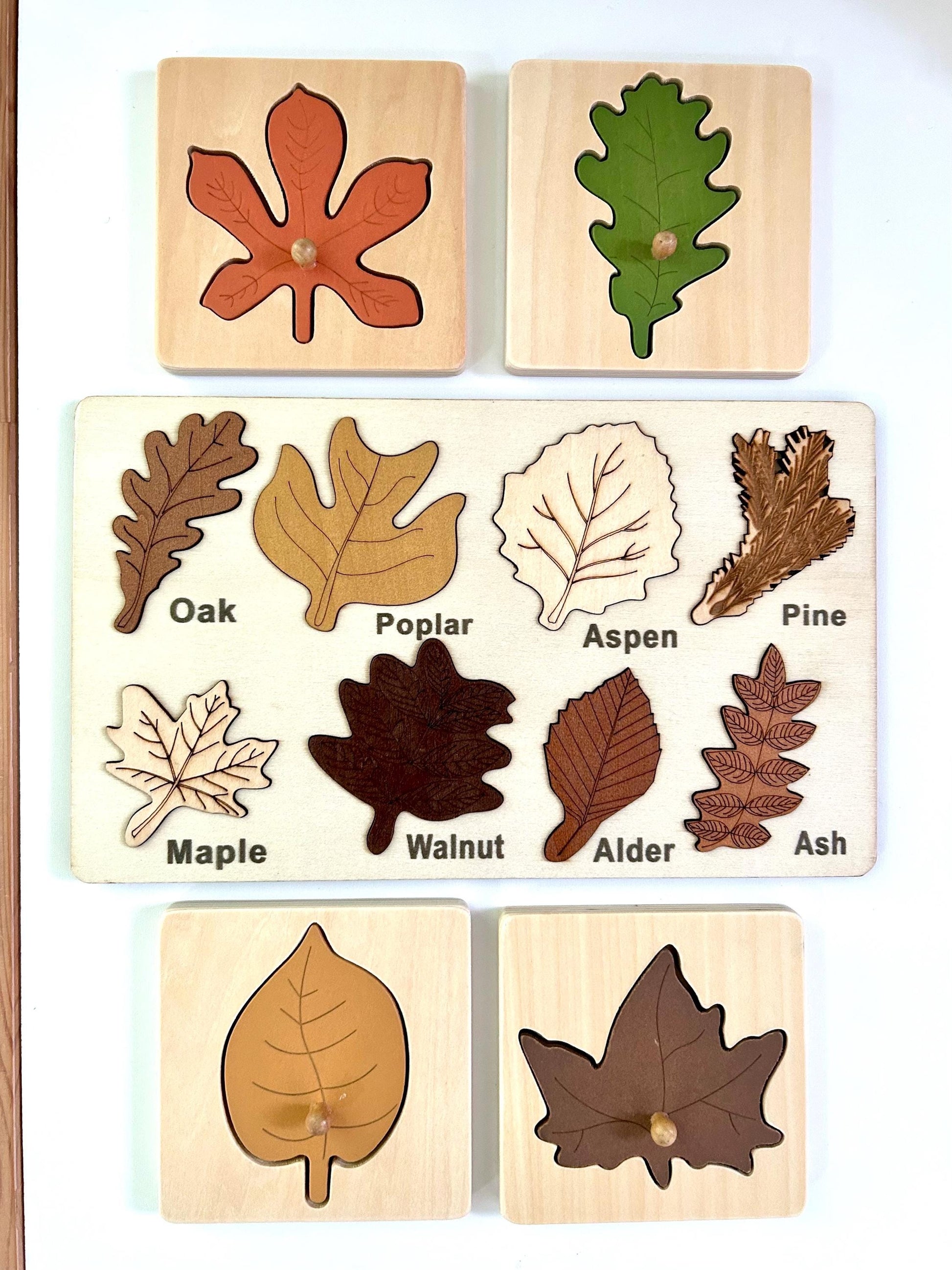 Wooden Leaf Puzzles | Fall Harvest Ressources | Montessori Nature Toy | Educational Toddler Activity | Fine Motor Skills | Preschool Tools