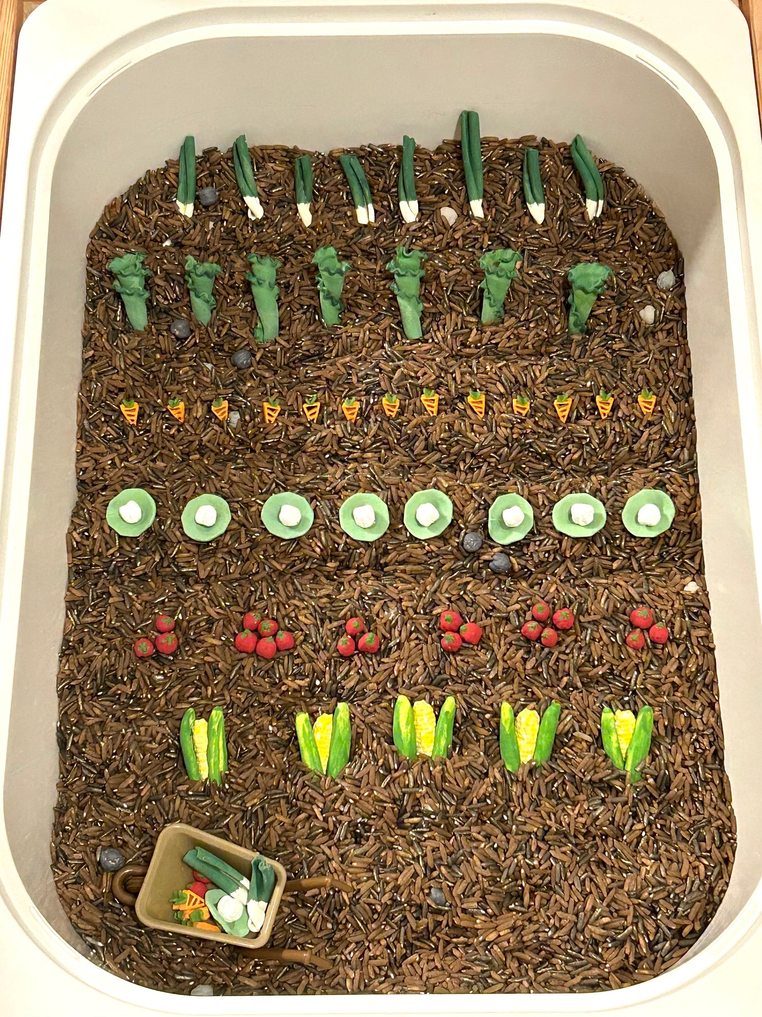 Sensory Play Fillers