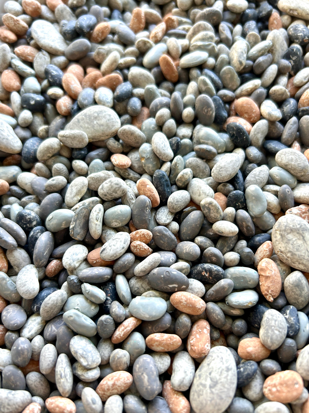 Nature | Rocks & Grass
