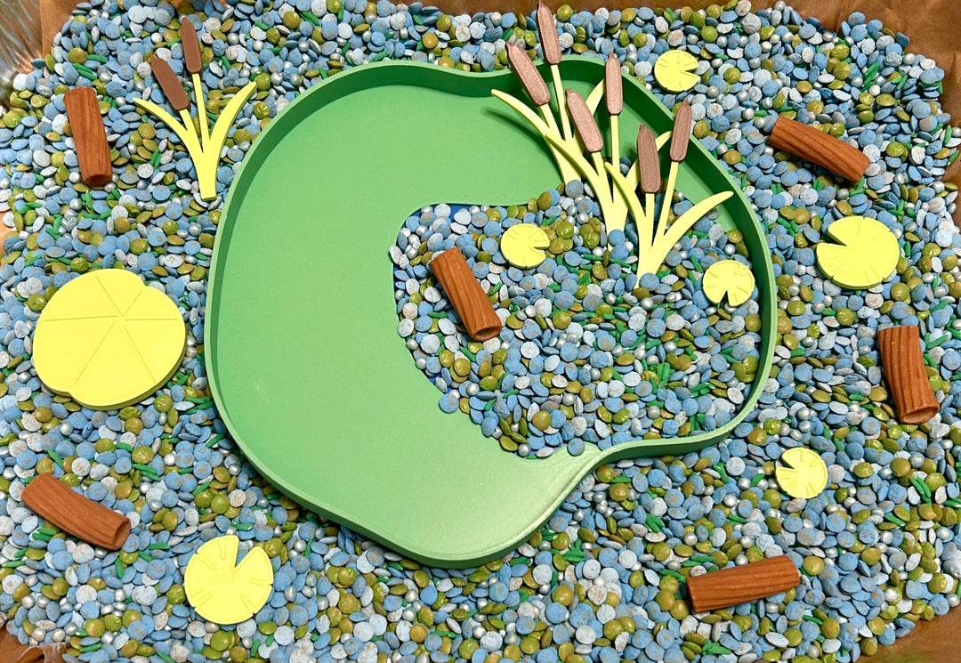 Pond Life Sensory Filler | Frog Sensory Bin | Handpainted Pasta Logs