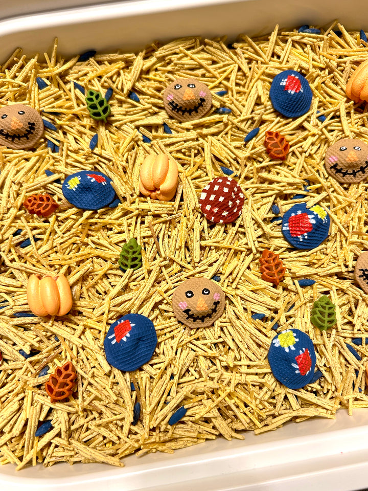 Scarecrow’s Harvest Sensory Filler | Fall Sensory Bin Mix | Handpainted Pasta