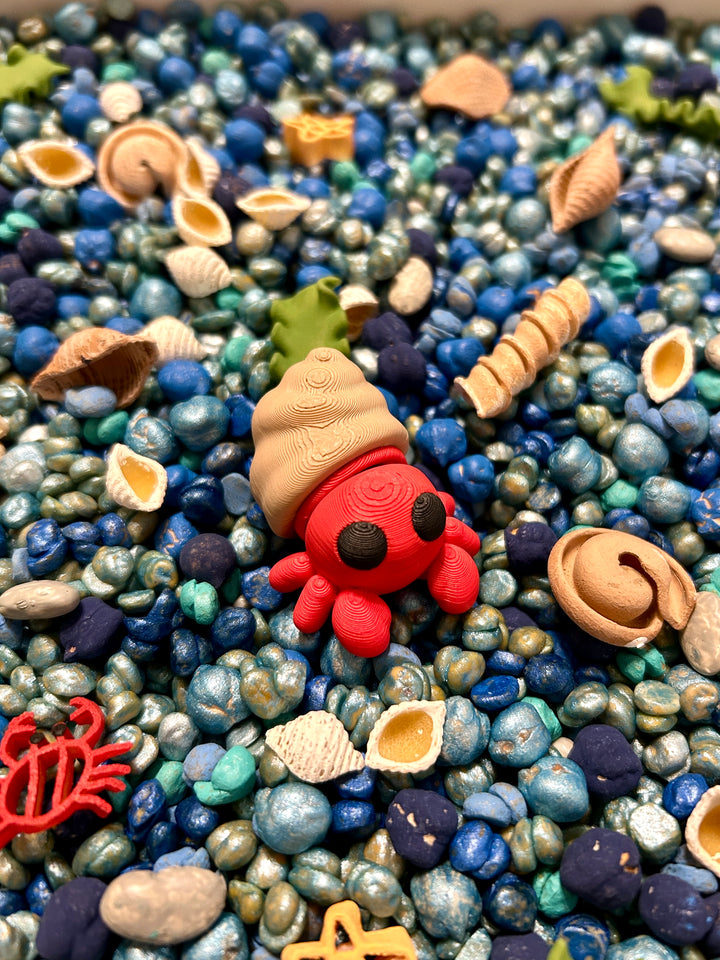 3D Printed Baby Hermit Crab | Beach Friends Sensory Play | Eco-Friendly PLA