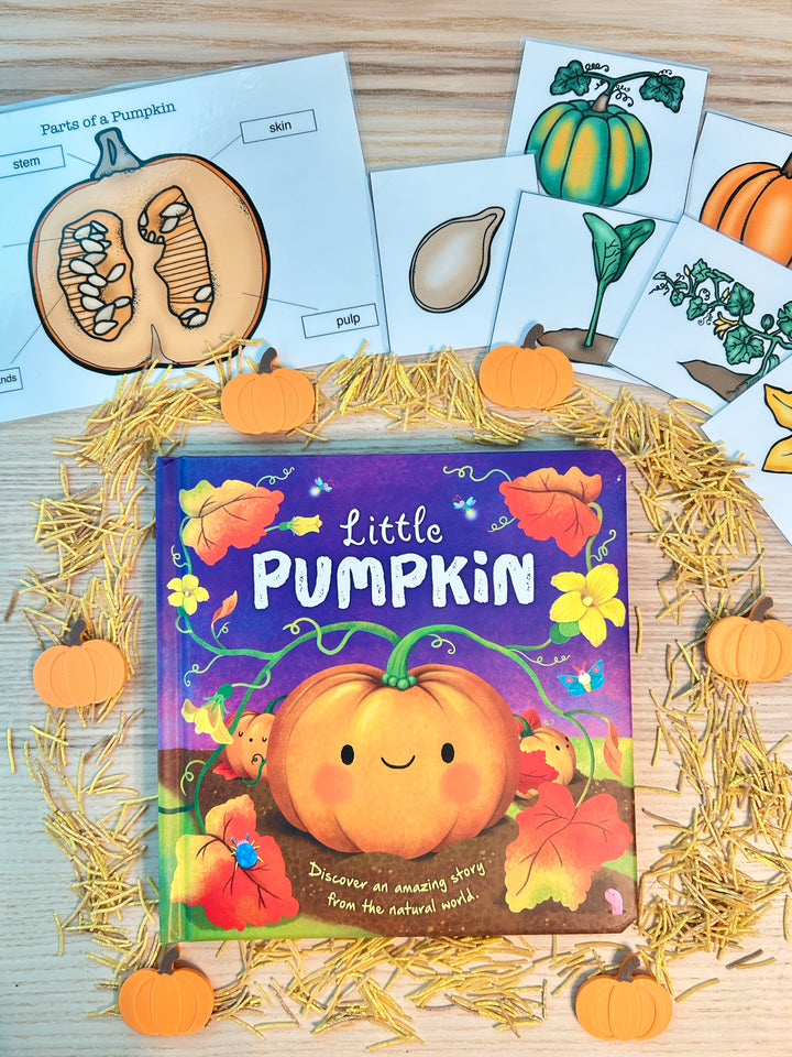 3D Printed Pumpkin Loose Parts (flat) | Fall Counters