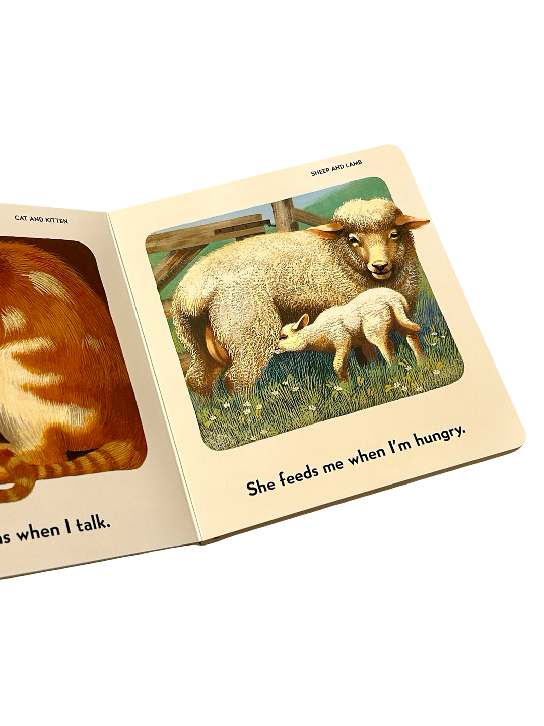 I Love My Mommy Because… (Board Book)