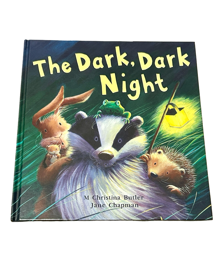 The Dark, Dark Night (Hardcover Book)