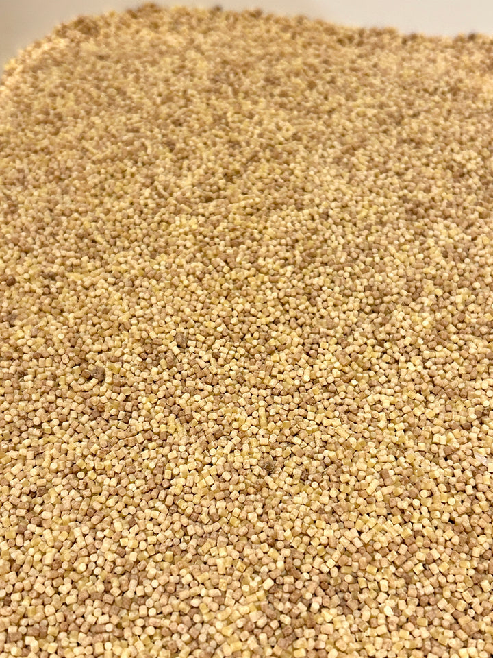 Handpainted Pasta Seashells | Beach Sensory Bin Loose Parts