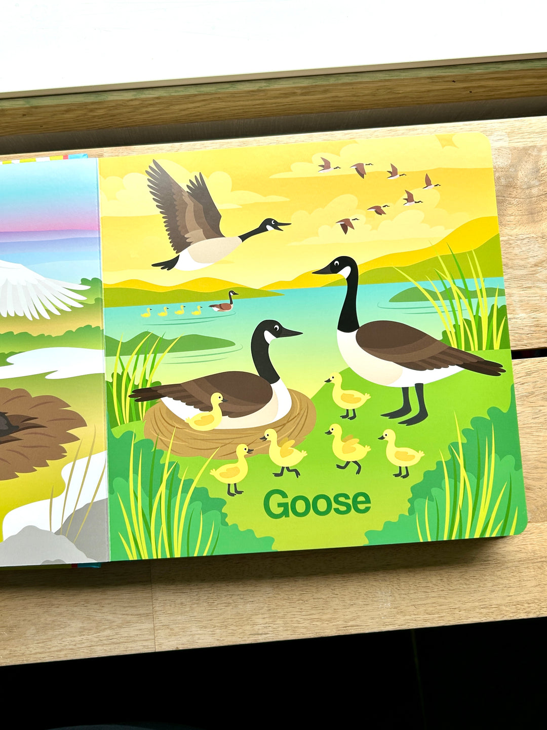 Canada Animals by Paul Covello (Board Book)