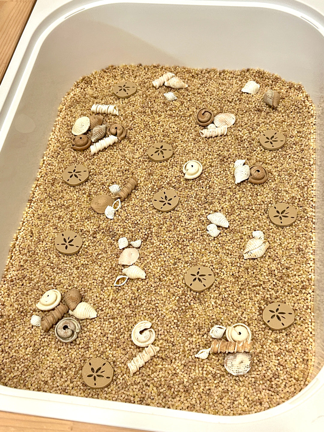 Handpainted Pasta Seashells | Beach Sensory Bin Loose Parts