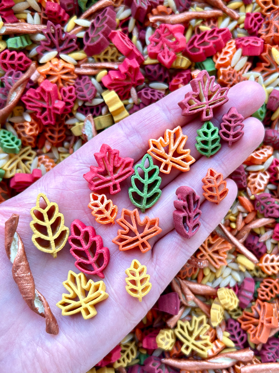 Rustic Autumn Glow Sensory Filler | Fall Sensory Bin | Handpainted Leaf Pasta