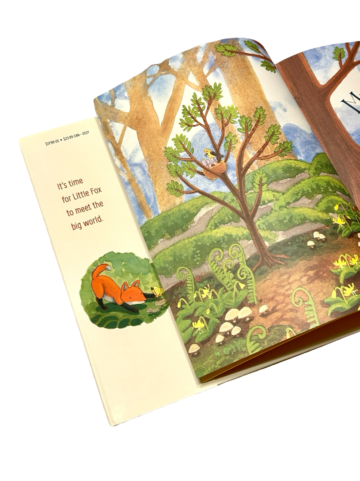 My Little Fox (Hardcover / Library Binding)