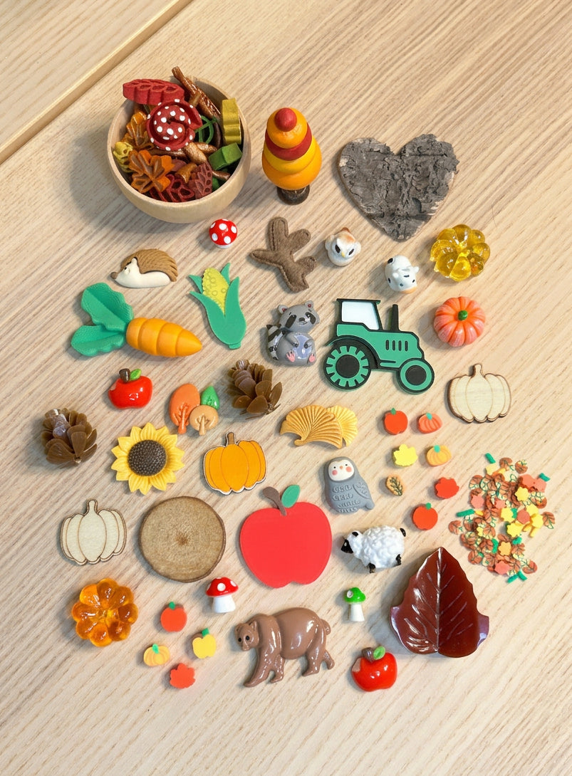 Mystery Bag: Autumn Charms &amp; Loose Parts | Fall Sensory Play Accessories