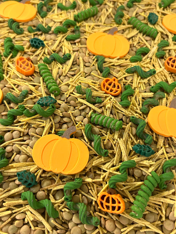 The Little Pumpkin Patch Sensory Filler | Fall Sensory Bin Mix