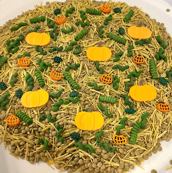 The Little Pumpkin Patch Sensory Filler | Fall Sensory Bin Mix