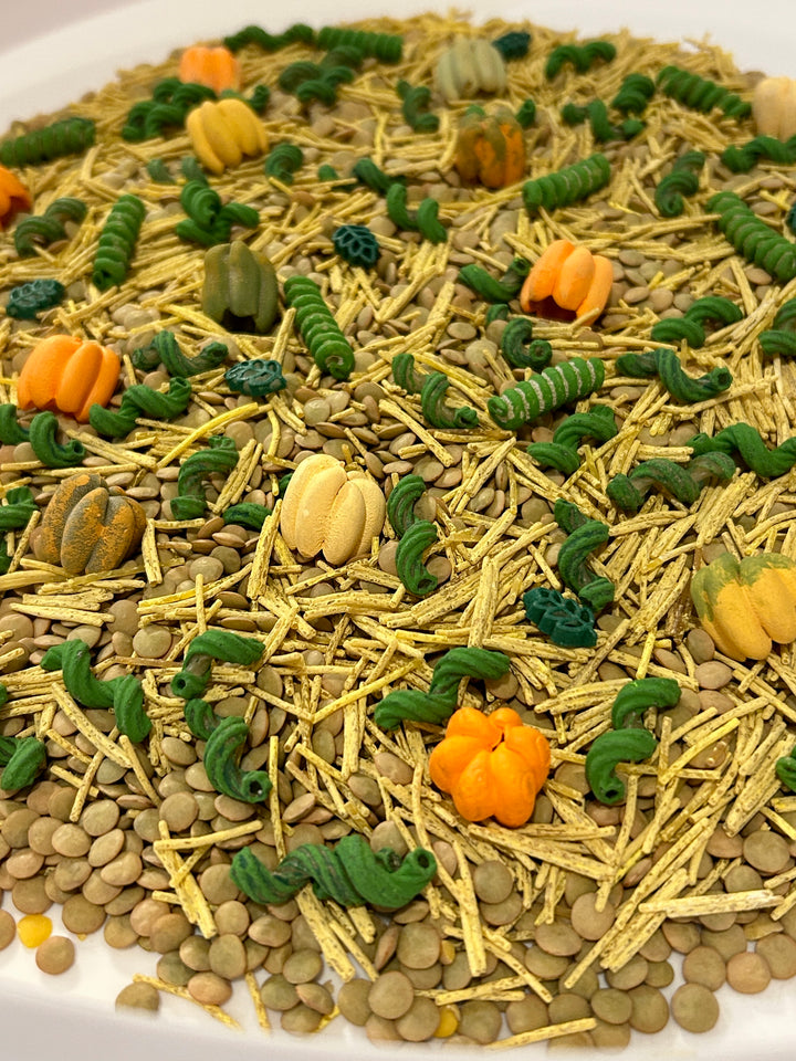 Pumpkin Patch Harvest Sensory Filler | Fall Sensory Bin Mix | Handpainted Pasta