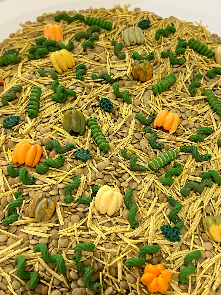Pumpkin Patch Harvest Sensory Filler | Fall Sensory Bin Mix | Handpainted Pasta