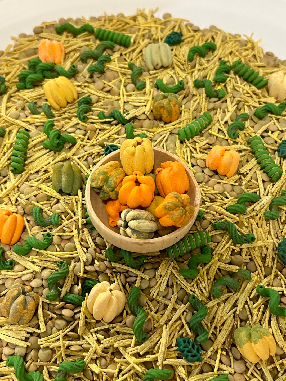 Pumpkin Patch Harvest Sensory Filler | Fall Sensory Bin Mix | Handpainted Pasta