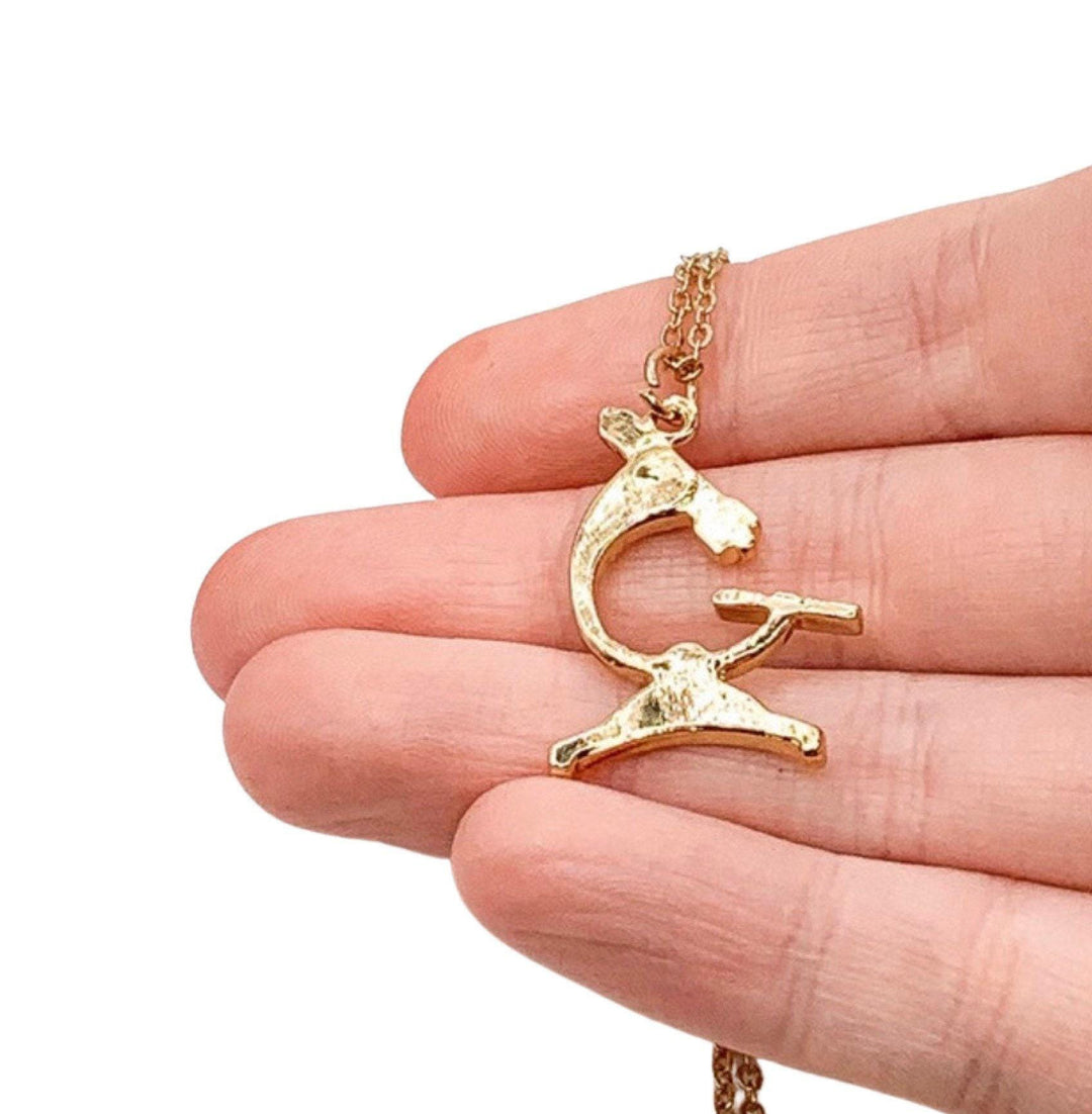 Collier microscope, bijou de biologiste, pendentif scientifique, cadeau pour scientifique, collier de biologie, cadeau pour médecin, cadeau de Noël pour elle