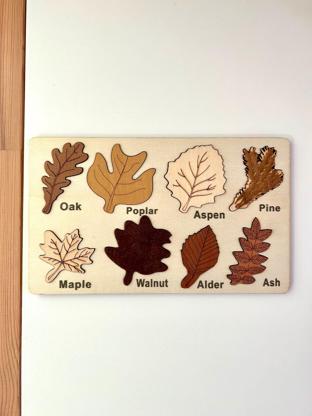 Woodland Leaf Identification Puzzle | Montessori Fine Motor Wooden Board | Handcrafted Wood Nature Toy | Fall Learning Gift for Kids