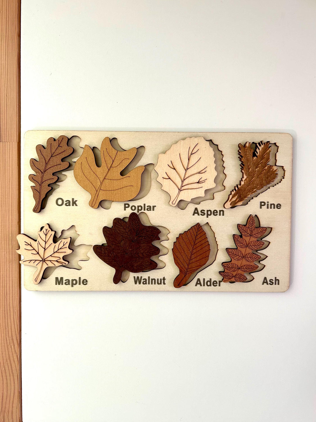 Wooden Leaf Puzzles | Fall Harvest Ressources | Montessori Nature Toy | Educational Toddler Activity | Fine Motor Skills | Preschool Tools