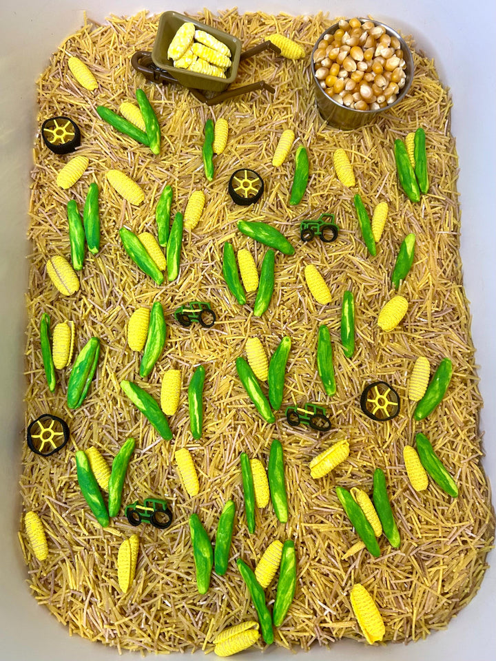 Tractor Sensory Filler Mix | Corn Maze Sensory Bin Filler | Hay Painted Pasta Sensory Play | Farm Loose Parts | Montessori Fall Themed Play