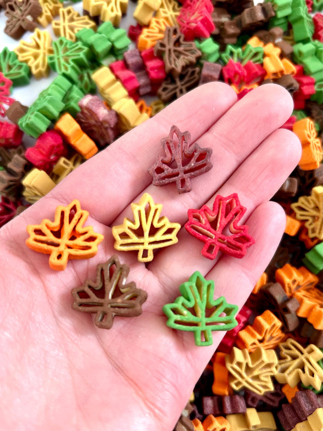 Falling Leaves Sensory Filler | Maple Leaf Play Mix | Fall Sensory Bin Filler | Autumn Tray | Montessori Sensory Setup | Hand-Painted Pasta