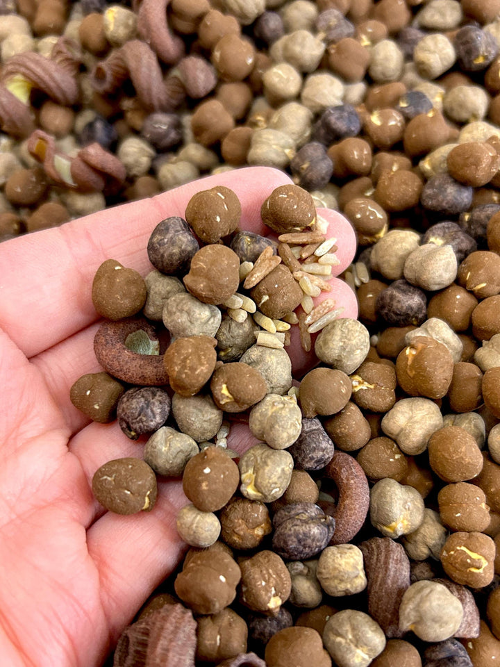 Heart Tin Chocolate Sensory Mix | Realistic Resin Chocolates | Chocolate Shop Pretend Play | Cocoa Sensory Bin | Montessori-Inspired Play