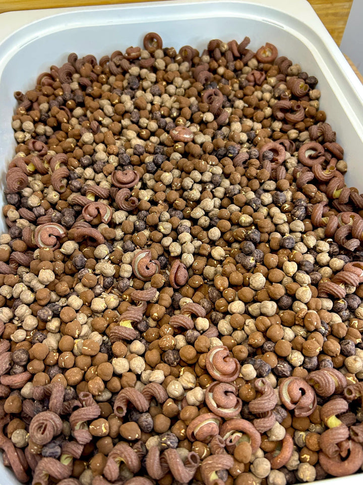 Chocolate Kisses Sensory Filler Mix | Cocoa Brown Sensory Bin | Valentine Inspired Loose Parts | Open-Ended Play | Interactive Day Care