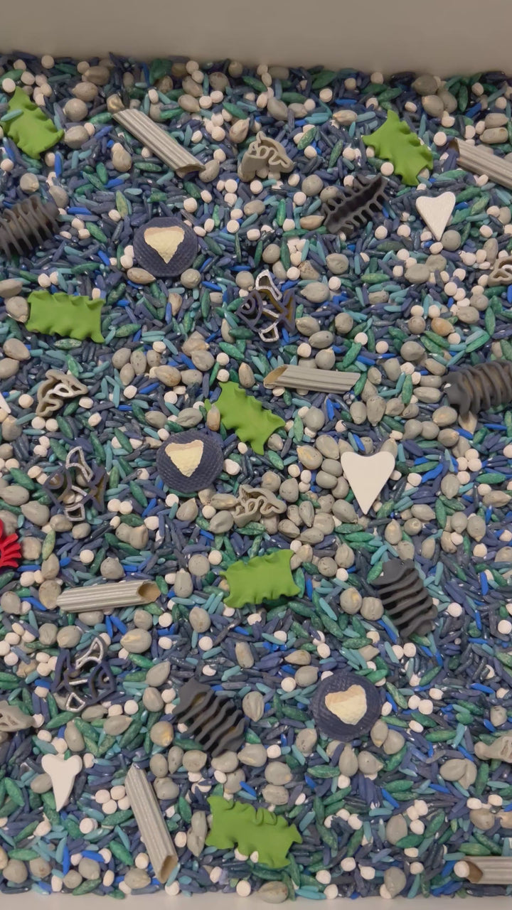 Into the Deep: Shark Sensory Filler Mix | Ocean Sensory Bin | Handpainted Pasta