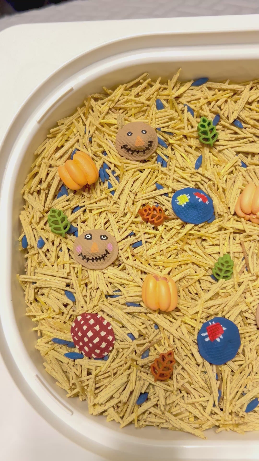 Scarecrow’s Harvest Sensory Filler | Fall Sensory Bin Mix | Handpainted Pasta