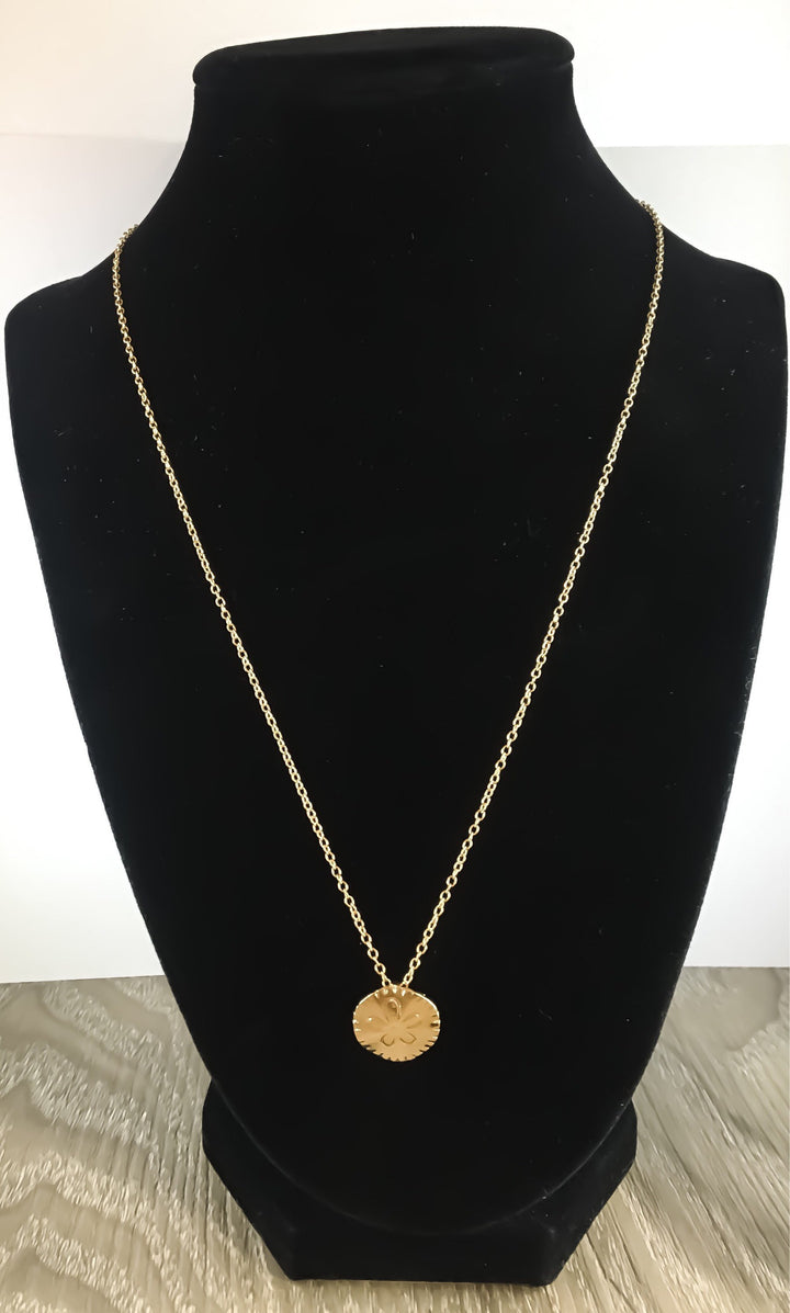Gold Sand Dollar Necklace with Card, Beach Lover Necklace, Tropical Gift, Minimalist Necklace, Ocean Jewelry, Dainty Pendant, Summer Jewelry